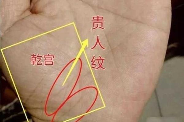 揭秘手相大鱼际圈形斗的秘密，财运亨通、运势翻倍