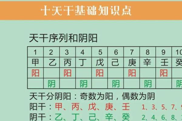 天干地支配对与五行运势的关系探讨