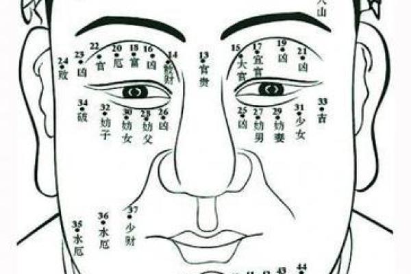 面相匹配:揭秘男女完美配对秘诀 面相匹配:揭秘男女完美配对秘诀
