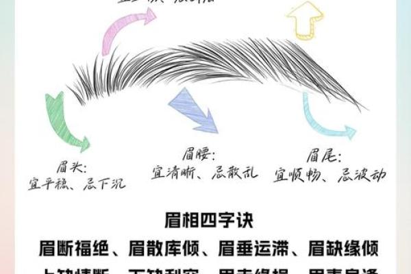 眉宇间藏风水秘笈，改运提升必备眉型大揭秘