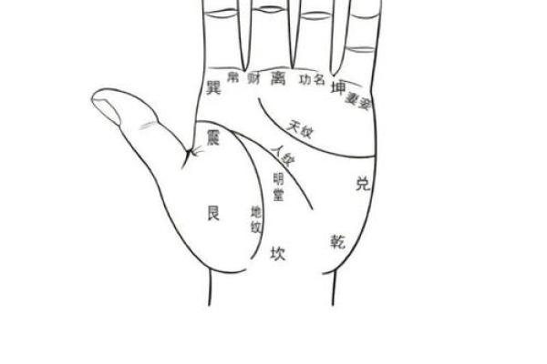 手相线条杂乱，命运如何？揭秘手相奥秘，破解运势之谜