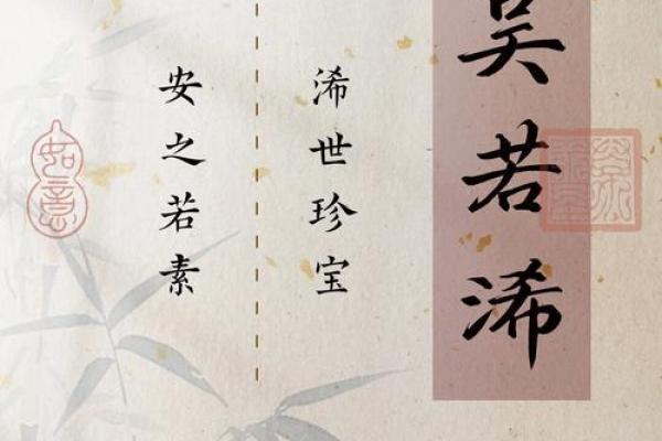 吴姓宝宝起名指南，传承与创新并存