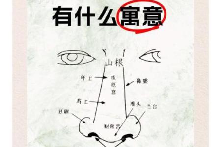 痣相破解术：掌握防克痣相，运势从此亨通