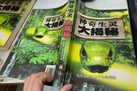 生肖掌控天象，揭秘神奇天气变化之谜