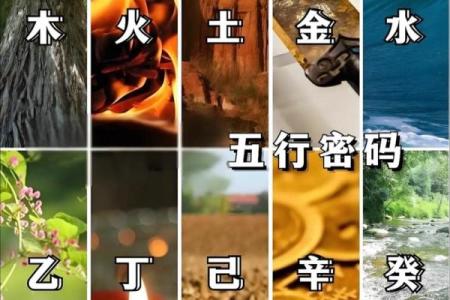 从天干看人生：深度解析五行之间的微妙关系