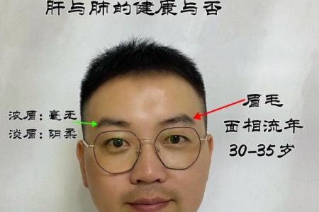 一眼识人心：揭秘面相中的命运密码