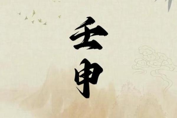 看郝金阳命理视频，轻松掌握命运密码