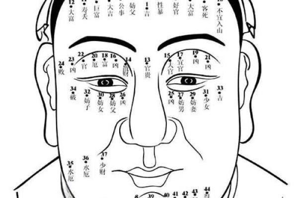 痣相面相学：揭秘面痣与运势的秘密