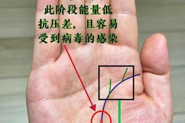 揭秘手相命运之谜：一看便知你的运势走向