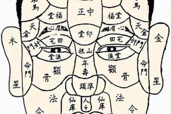 面相揭秘：男子面痣位置大揭秘，财运事业全看透
