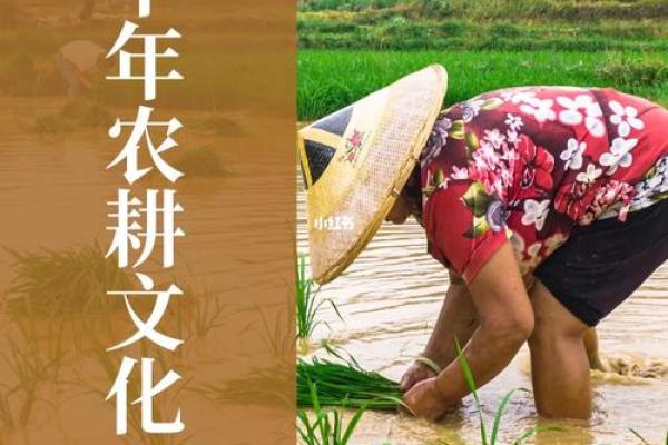 千年传承，神秘再现：揭秘跳神节独特民俗魅力