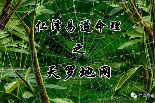 破解命理小限名称背后的神秘力量