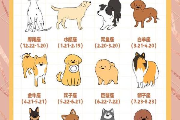 属相配对大揭秘:星座相性分析,找出你的最佳伴侣 属相配对大揭秘:星座相性分析,找出你的最佳伴侣