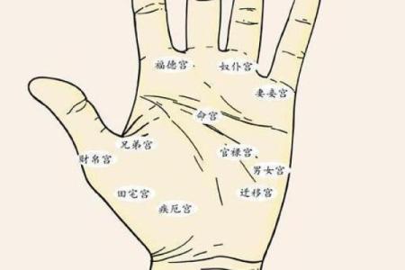 通过清华学霸八字，看命运如何影响学业成就