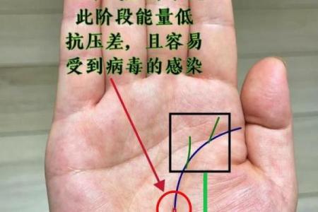 揭秘手相命运之谜：一看便知你的运势走向
