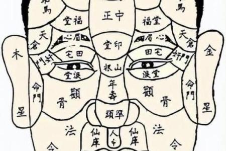 面相揭秘：男子面痣位置大揭秘，财运事业全看透