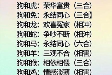 生肖情缘大揭秘：十二星座属相配对绝配榜