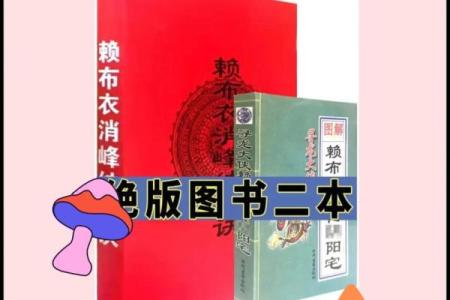 揭秘风水奥秘：赖布衣大师亲授居家旺运秘籍