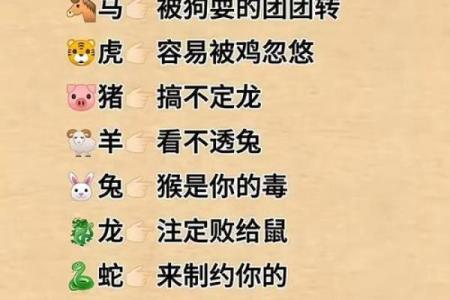 草低生肖，揭秘十二生肖背后的神秘力量