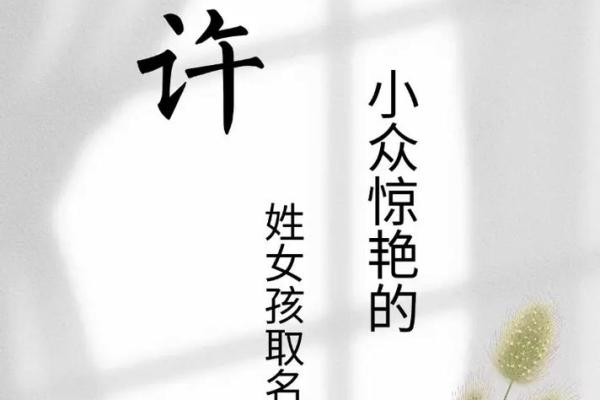 许姓宝宝起名必看,最受欢迎的名字推荐 许姓宝宝起名必看,最受欢迎的名字推荐