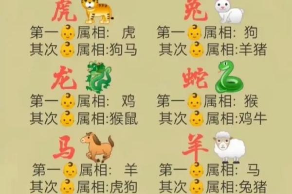 鼠年运势旺，揭秘最匹配的生肖组合