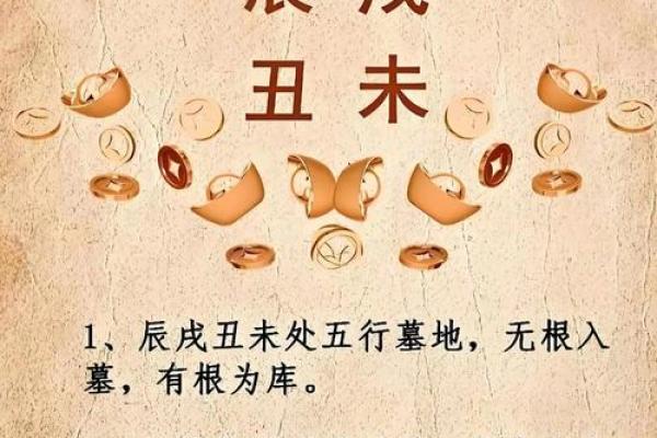 华盖八字解析：掌握命运的关键