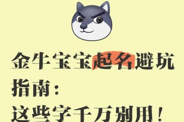 公司起名避免雷区,助力品牌发展 公司起名避免雷区,助力品牌发展