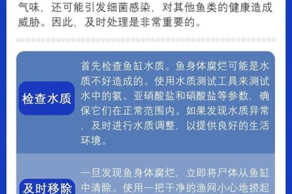 鱼缸里的鱼突然死亡，揭秘家居风水禁忌