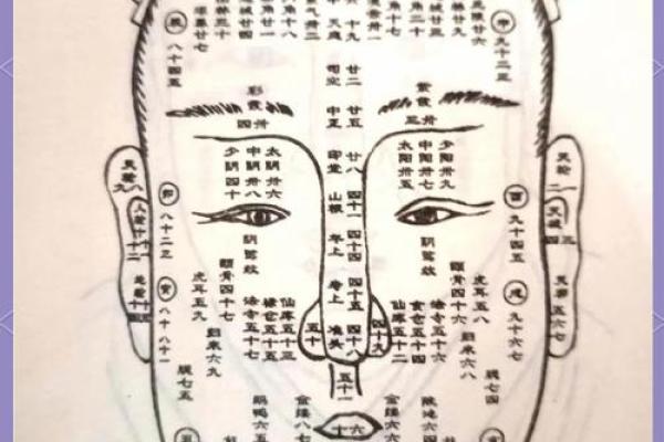 识人秘术：揭秘脸部扫描背后的面相奥秘