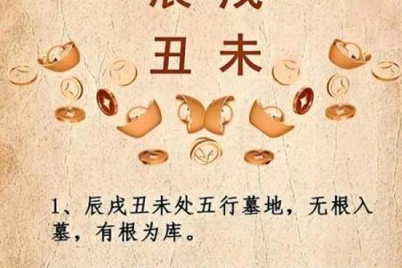 华盖八字解析：掌握命运的关键