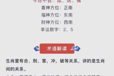 2023兔年财运亨通，揭秘你的幸运命格