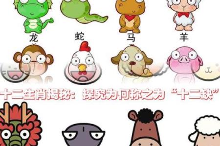 生肖宝图：揭秘十二生肖的神秘魅力
