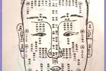 识人秘术：揭秘脸部扫描背后的面相奥秘