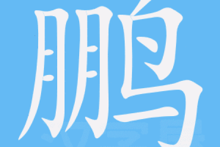 鹏字起名，赋予公司无限潜力与发展空间