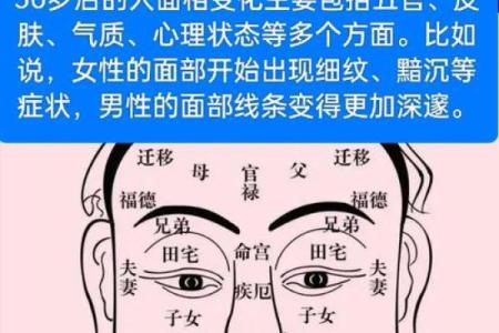 识面解相：揭秘女性面相中的神秘密码