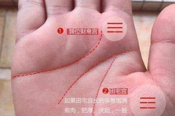 揭秘女性手相长痣的神秘力量：图解大全，助你了解运势与命运