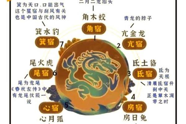 神秘风水秘籍:揭秘企业财运旺盛的奥秘 神秘风水秘籍:揭秘企业财运旺盛的奥秘