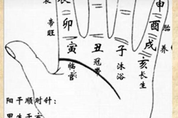 揭秘天干通支的奥秘，轻松掌握命理精髓