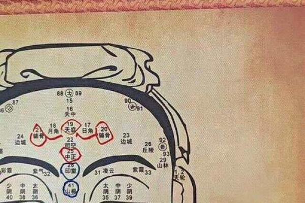 面相揭秘:节俭面相如何助你财运亨通 面相揭秘:节俭面相如何助你财运亨通