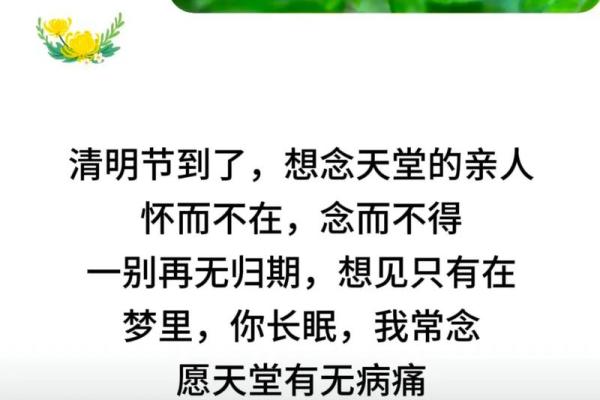 团圆梦断清明夜：揭秘节日民俗中的生死情缘之谜