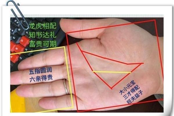 面相佳，手相暗藏玄机揭秘命运转折的神秘面相秘诀