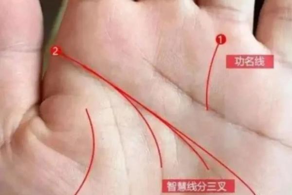 揭秘女性魅力手相：运势、性格，一探究竟