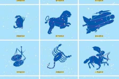 十二星座星象大揭秘：命运轨迹，你了解多少？