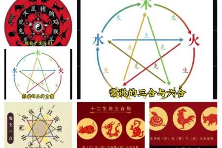 合五行属什么？解答你一直困惑的问题