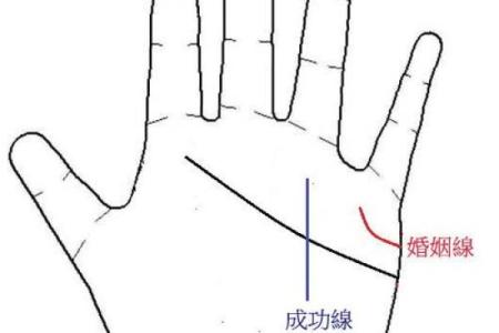 面相佳，手相暗藏玄机揭秘命运转折的神秘面相秘诀