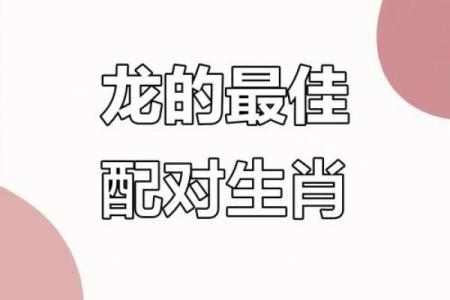属鸡男VS属龙女：天作之合还是擦肩而过？