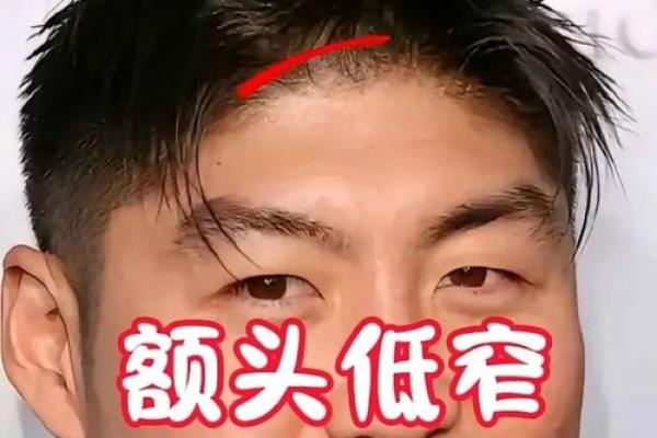 额头低面相解析：揭秘财运、事业与感情的关键因素
