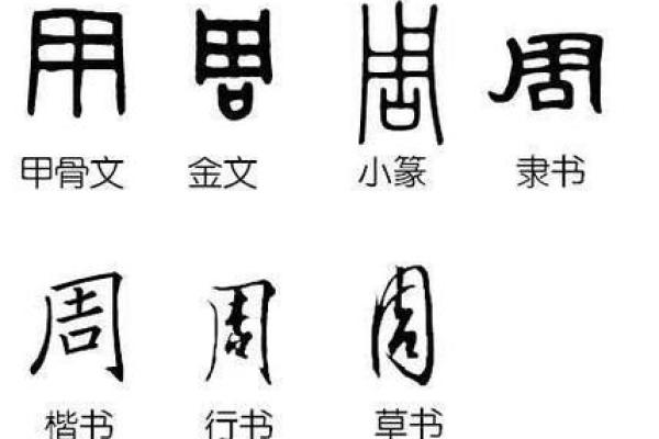 昭字五行到底属于什么？了解它的真正含义