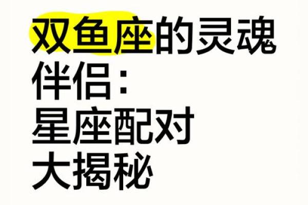 星座配对秘籍：最适合你的灵魂伴侣星座揭秘