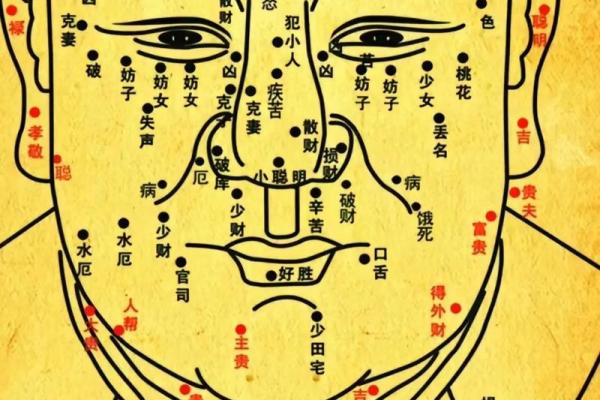 痣中的秘密:女人魅力全解析 痣中的秘密:女人魅力全解析